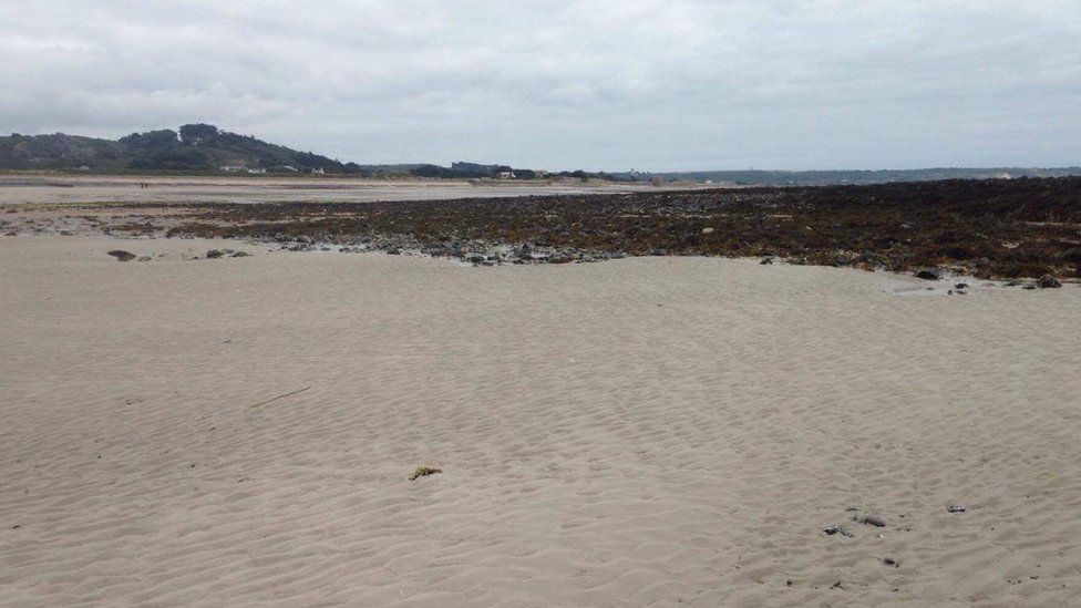 Body found on Jersey beach believed to be missing man BBC News