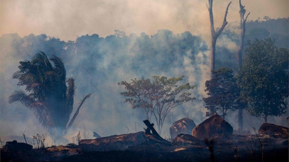 forestfire in para state