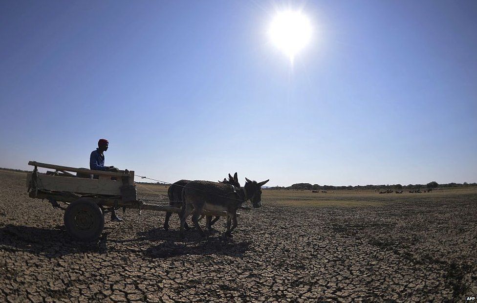 man crosses the dried Bokaa Dam with a donkey cart on the outskirts of Gaborone on August 14, 2015 in Botswana.