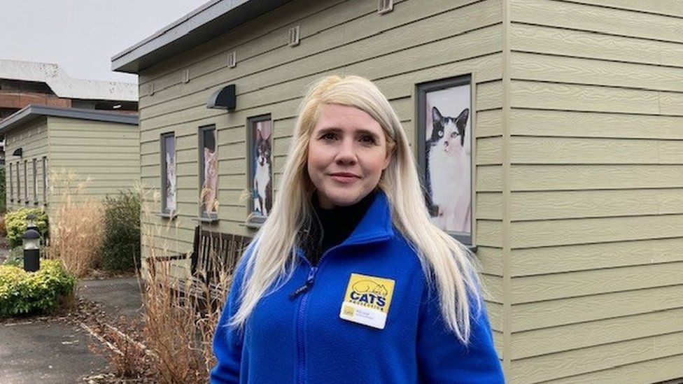 Cost of living Animal shelter sees rise in cats given up BBC News