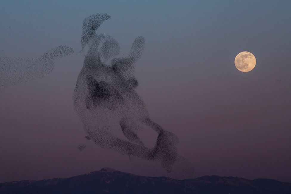 Starlings fly in the sky as full moon rises over the city of Rome, on 17 January 2022, in Italy