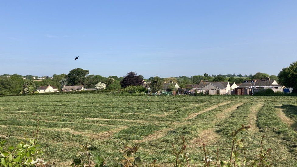 Photo of a freshly cut green field