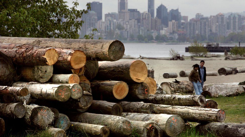 A pile of cut logs sit on Spanish Banks in Vancouver, British Columbia, Canada, on April 26, 2006