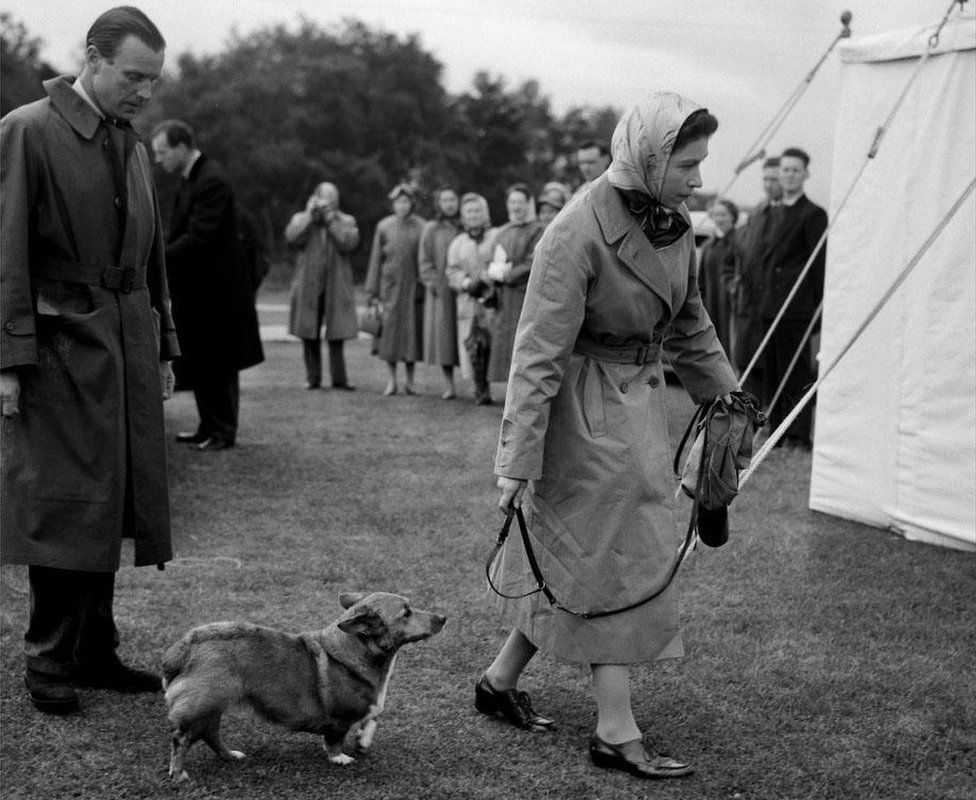 Black and white photo of the Queen wearing a headscarf and raincoat, leading one of her corgis into a marquee, with people watching her in the background