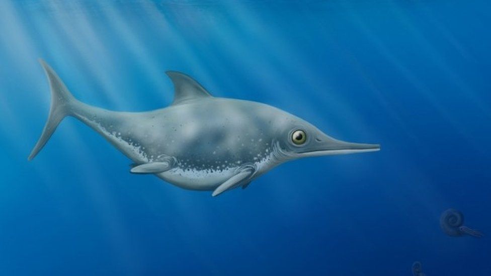 An artist's impression of the new ichthyosaur