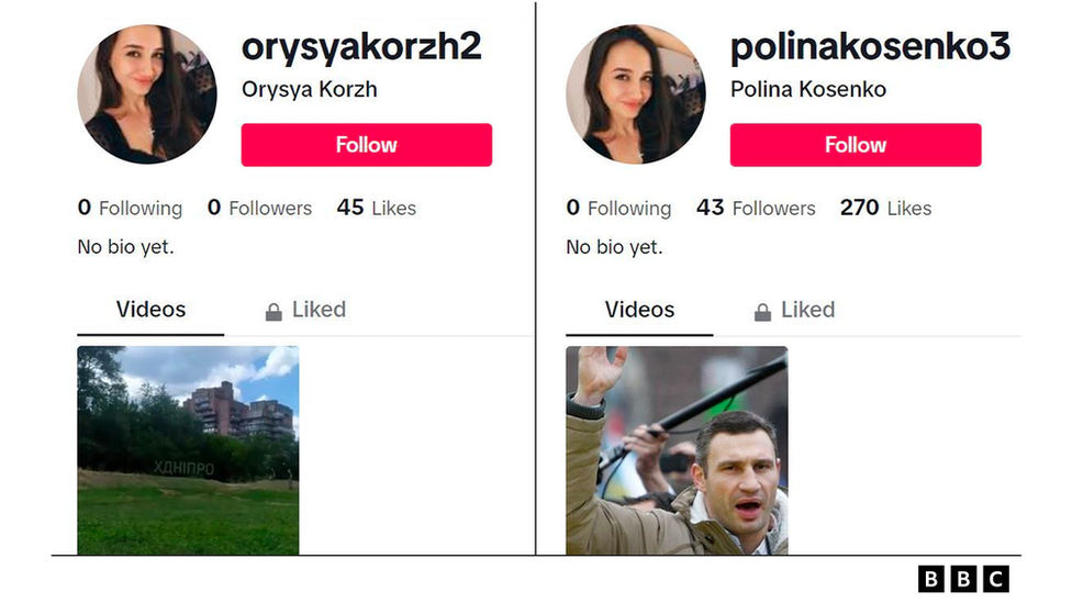 Screenshot of two TikTok accounts using the same profile photo