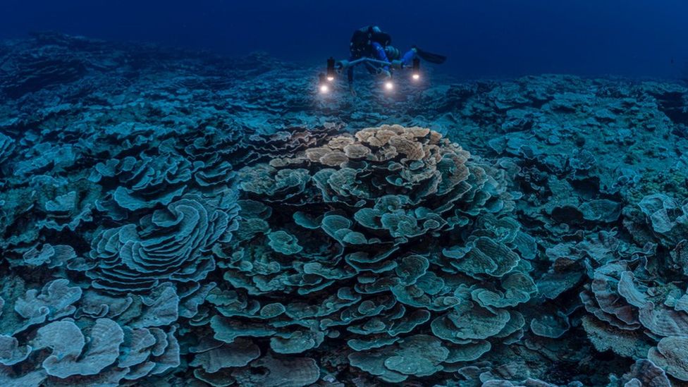 Giant, deep reef off the coast of Tahiti