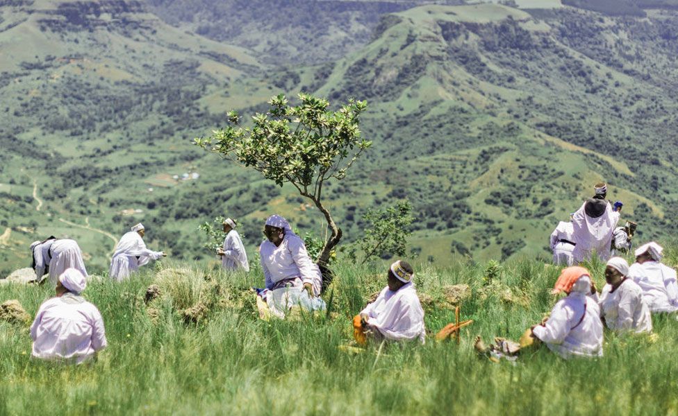 People sitting in the grass by a tree