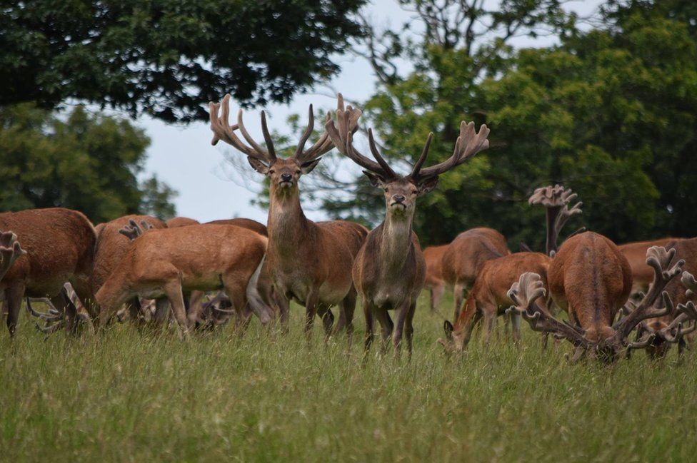 England's Big Picture: 25 - 1 July - BBC News