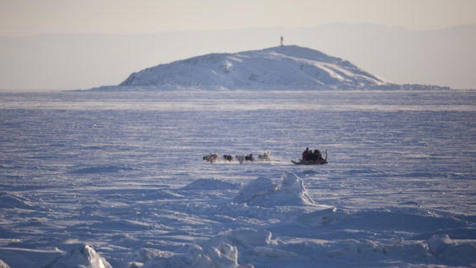 A dogsled in north-western Canada (February 2010)