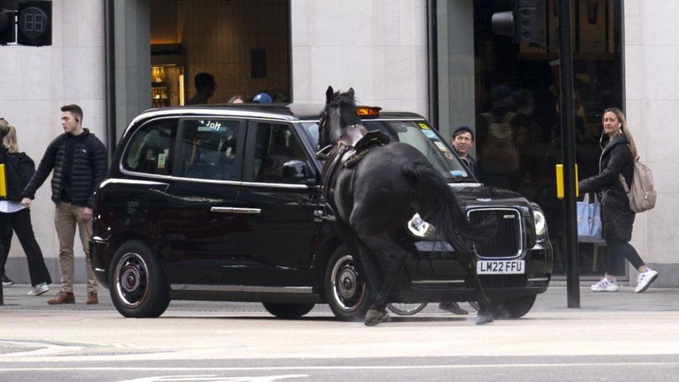 A black horse seen trying to dodge a black taxi in London