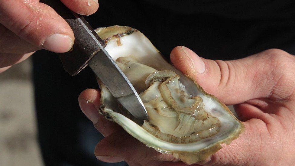Oyster shucking (file image)