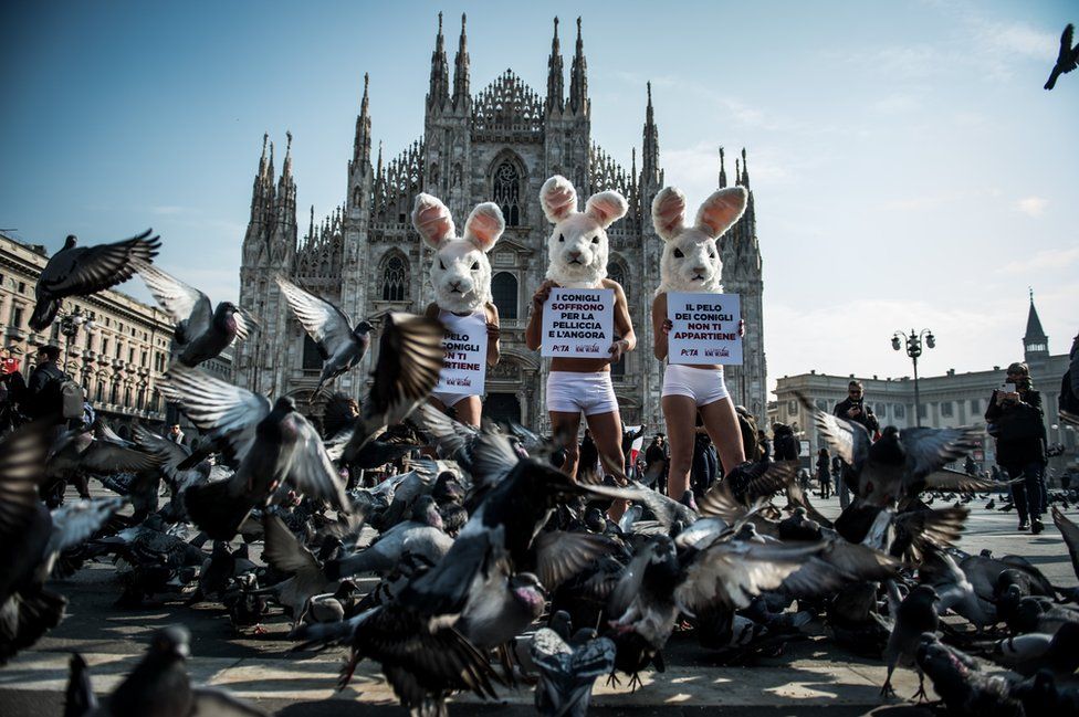 Protesters from People for the Ethical Treatment of Animals (Peta) hold placards that highlight the use of rabbit fur.