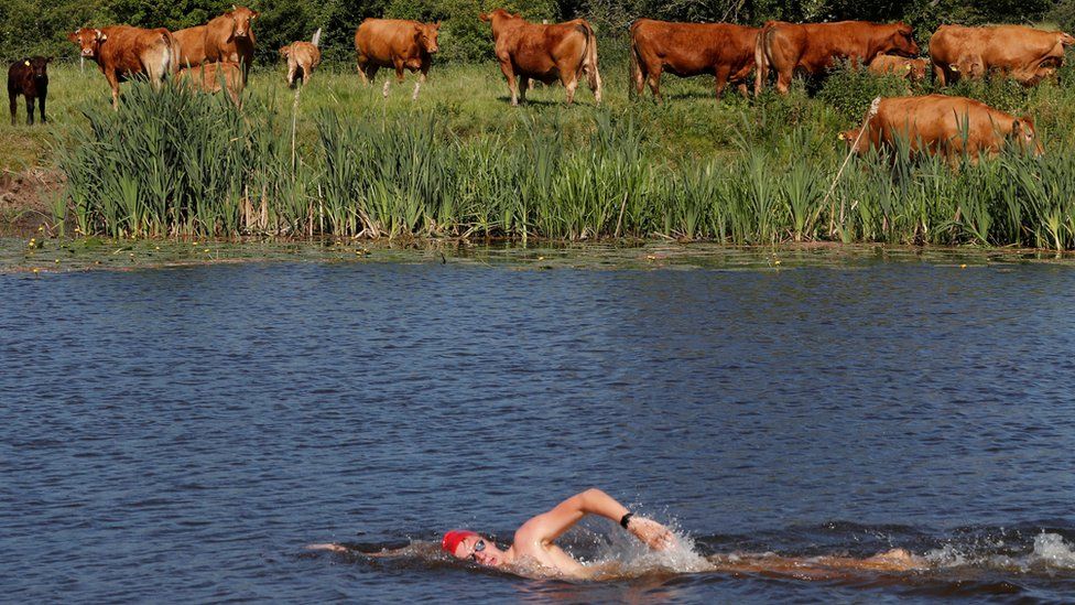 Team GB open water swimmer Toby Robinson during a training session in the River Soar
