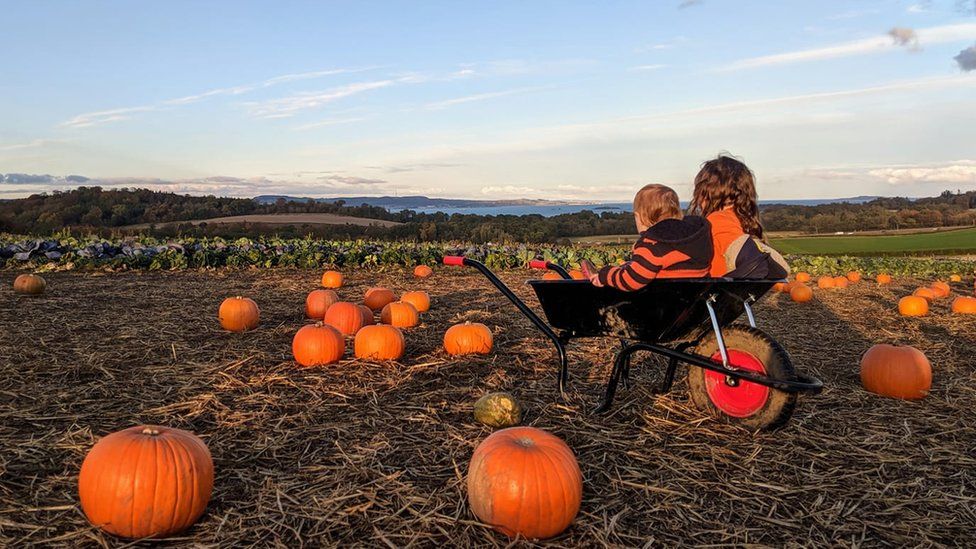Eve-Marie Josse's kids in a pumpkin patch wheelbarrow