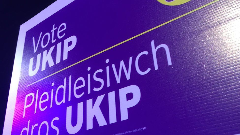 UKIP banner