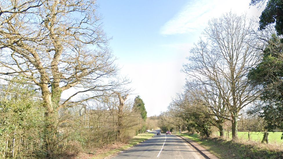 Man and dog killed in Alvechurch crash BBC News