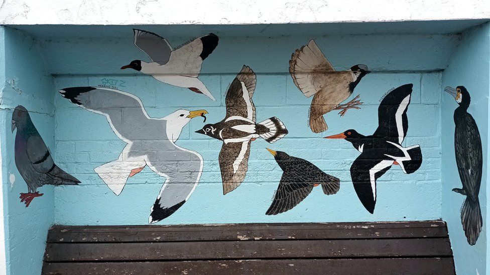 A mural of seabirds, which includes a herring gull, on the Hastings seafront