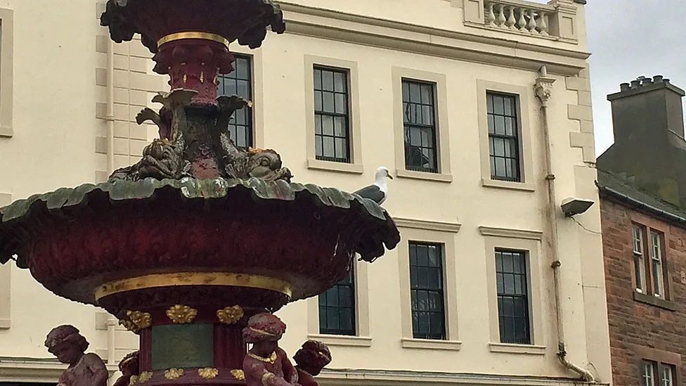 Seagulls in Dumfries town centre