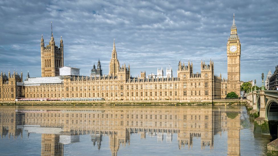 Palace of Westminster: Dig unearths 18th Century fish token - BBC News