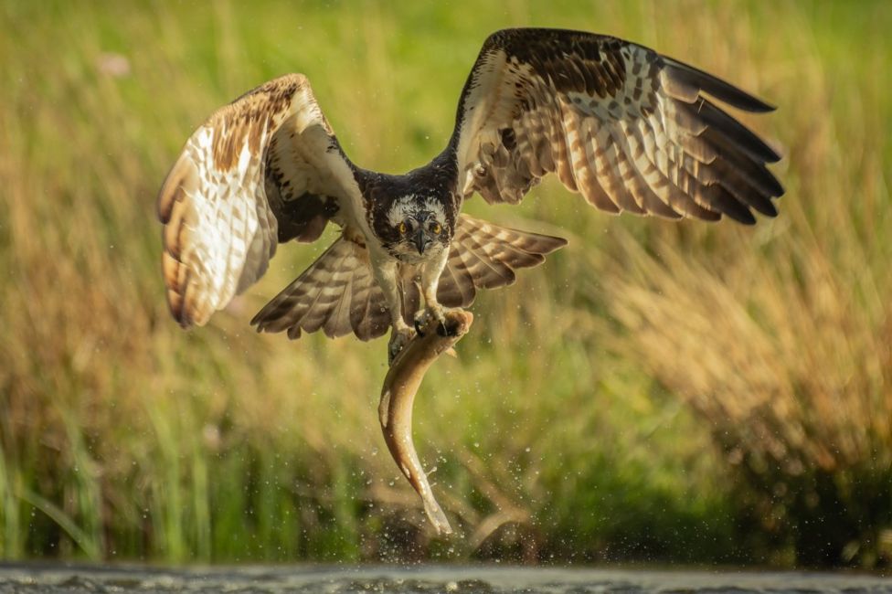 Your pictures of Scotland: 20 - 27 May - BBC News