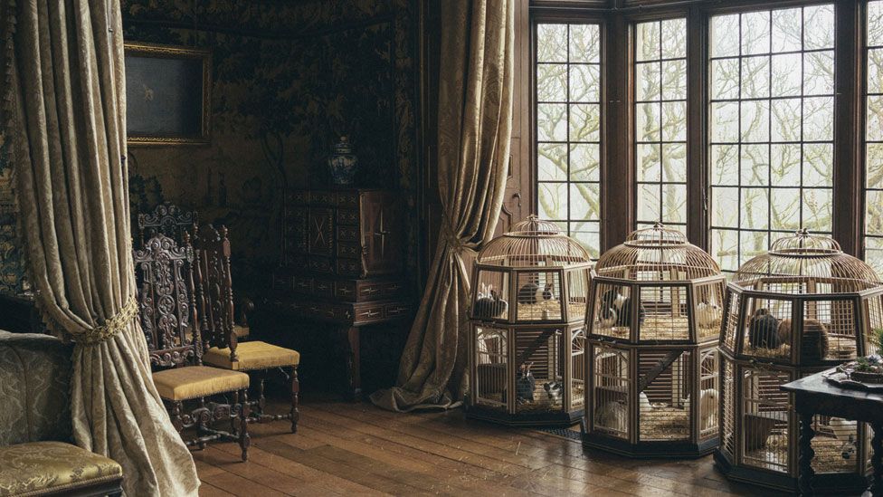 Set of The Favourite