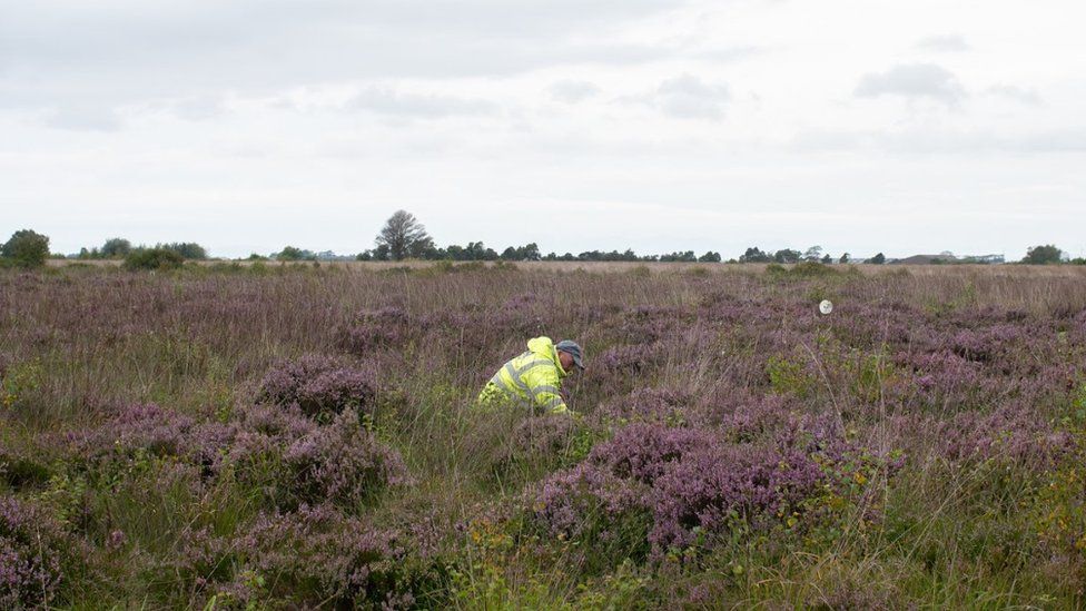 Planting at Winmarleigh Moss