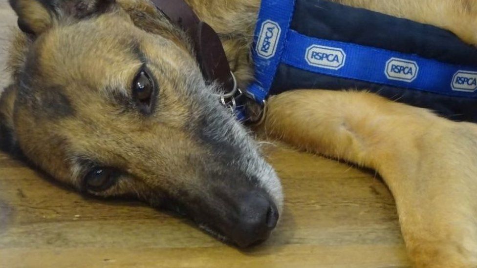 hancock lurchers facebook