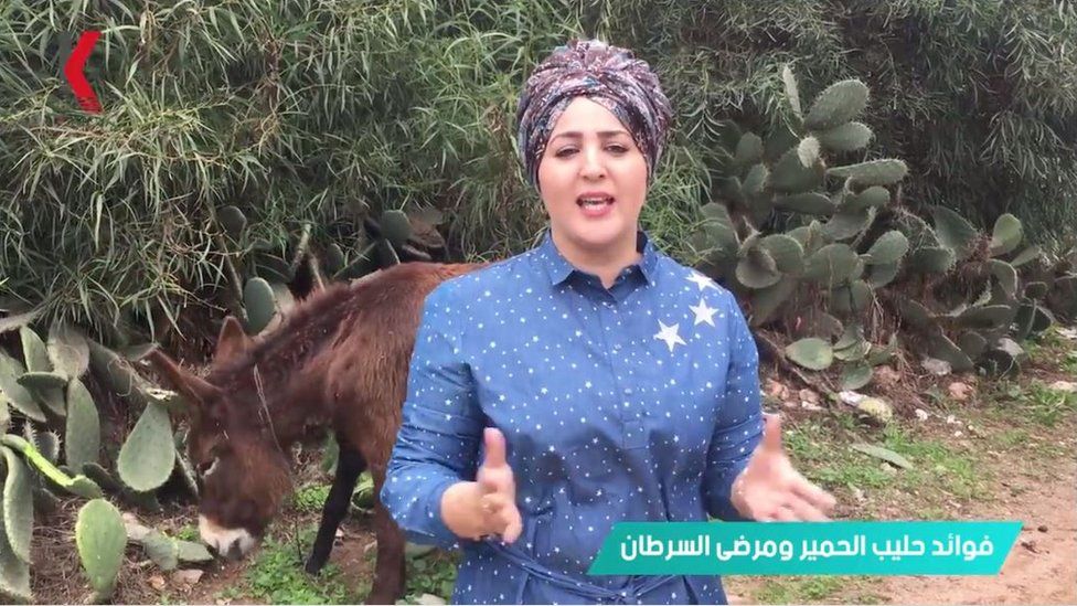 YouTuber presents a video in front of a donkey