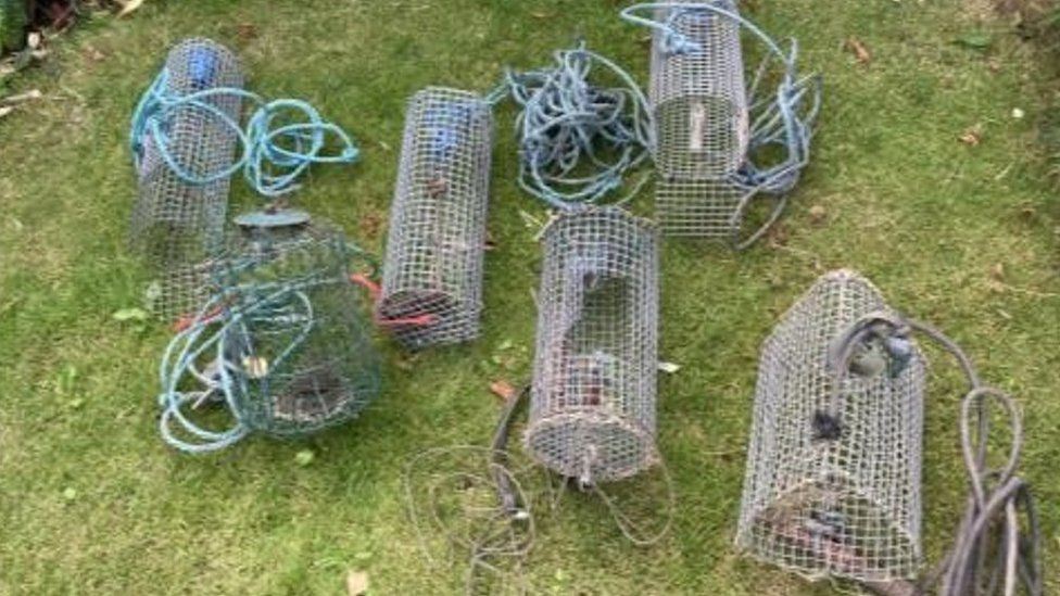 Environment Agency seizes illegal traps threatening crayfish and