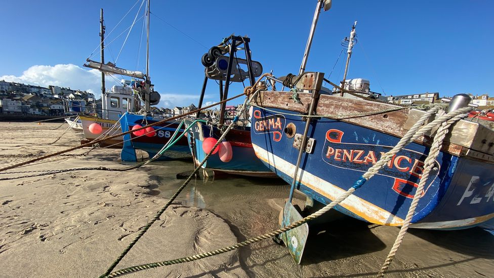 St Ives fish shop and store 'really good news' - BBC News