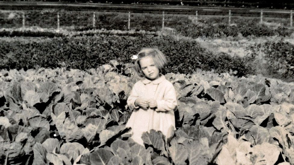 Young girl on an allotment