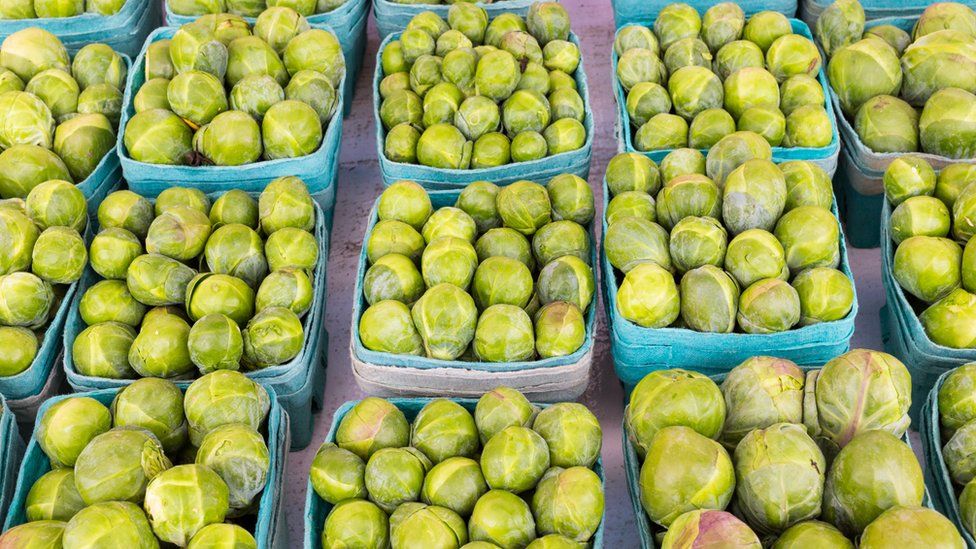 Brussel sprouts in boxes