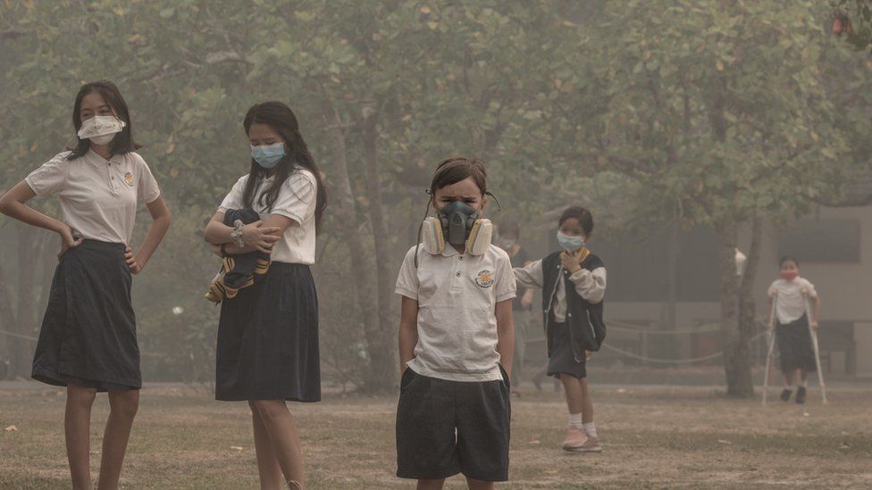 Indonesia haze: Why do forests keep burning? - BBC News