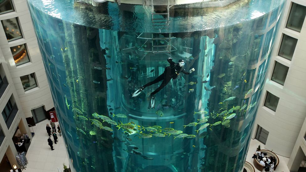 A diver in the AquaDom tank