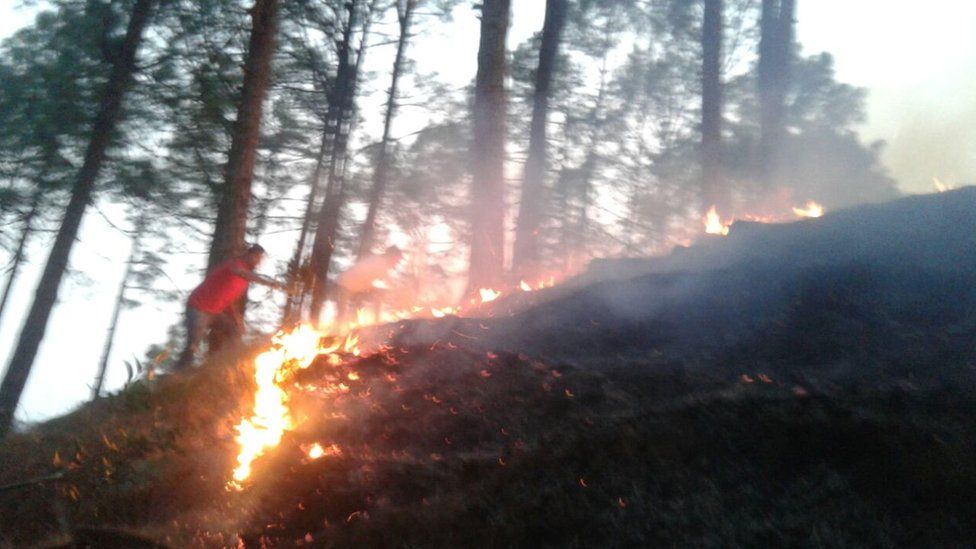 Мужчина пытается потушить пожар в Уттаракханде