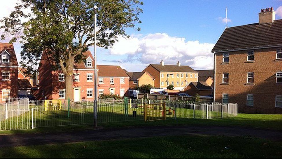 Pit bull killed baby grand daughter, woman admits BBC News