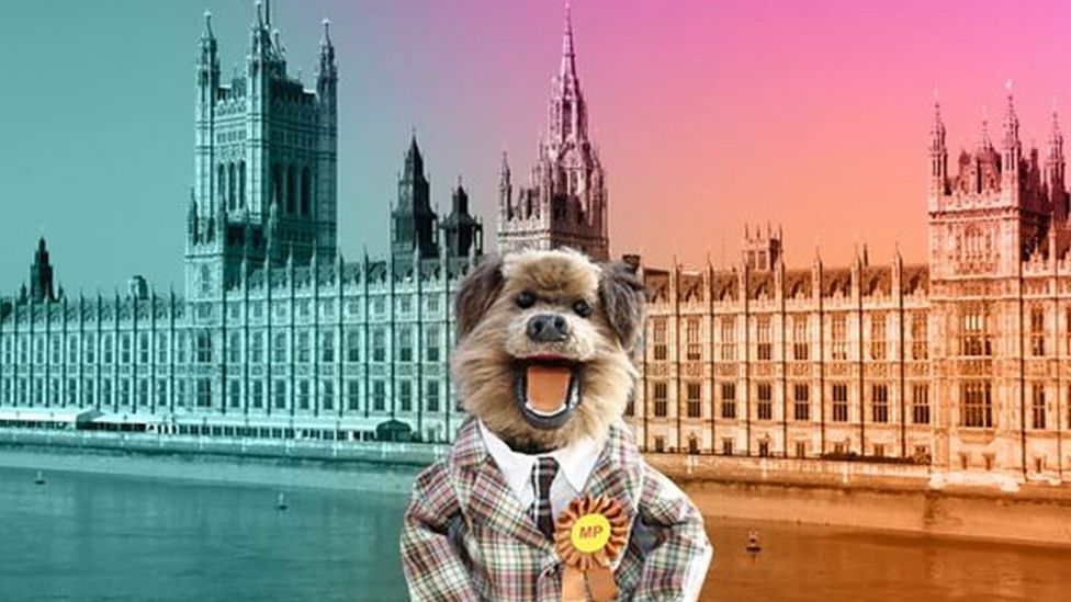 Local elections What happened and what are they? BBC Newsround