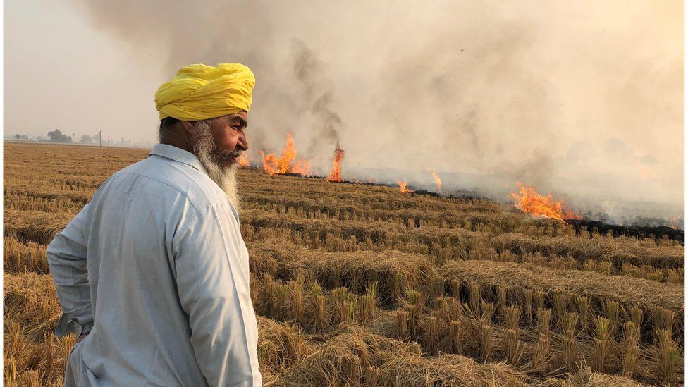 Stubble burning: Why it continues to smother north India - BBC News