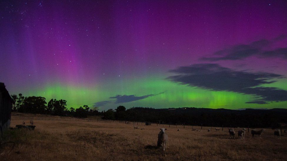 Aurora Australis Solar flares light up Australian skies BBC News