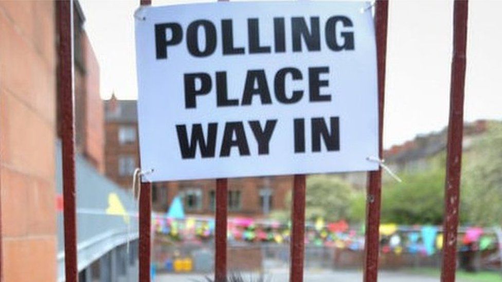 Dog at polling station