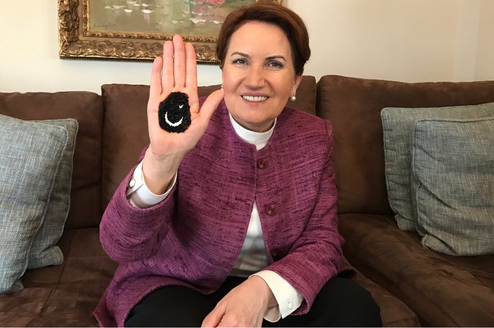 Meral Aksener with a Turkish flag painted in henna on her palm