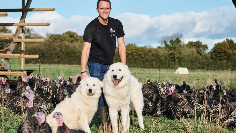 Livestock guardian dog hot sale rescue near me