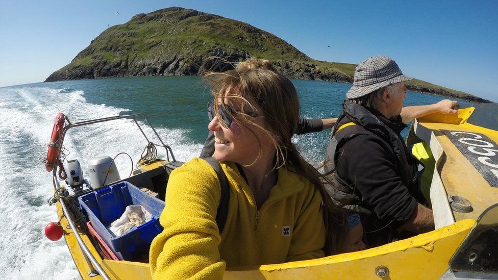 Statws Noddfa Awyr Dywyll yn 'gamp anhygoel' i Ynys Enlli - BBC Cymru Fyw