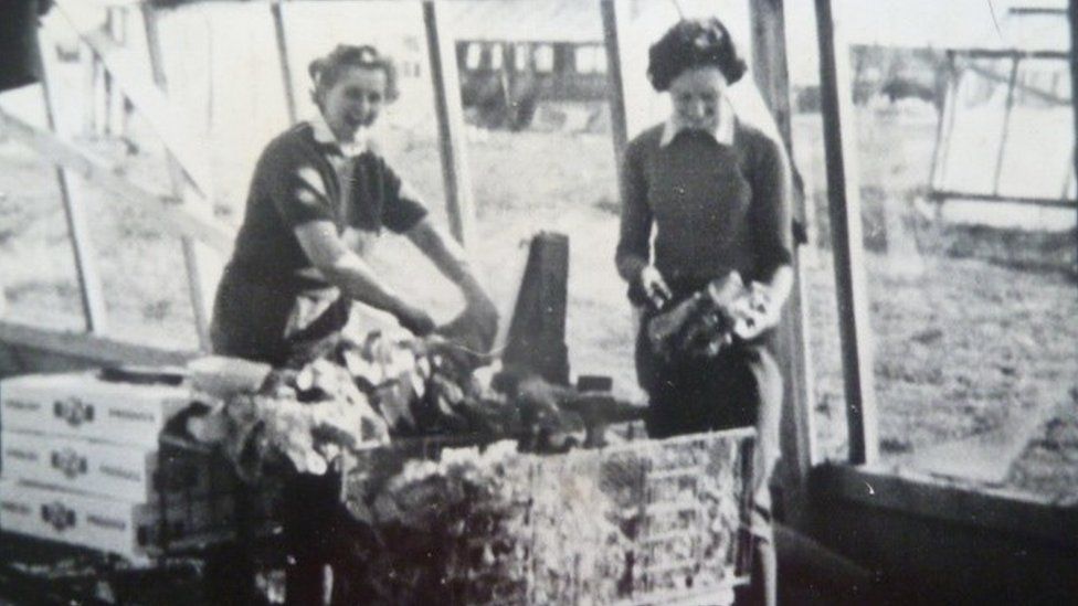 Cutting lettuce in the 1960s