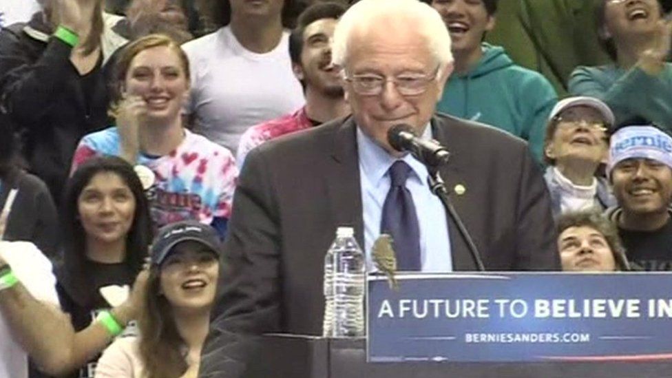 Bernie Sanders at a rally in Portland, Oregon.