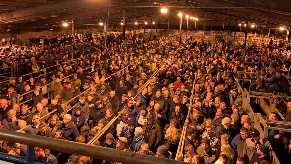 Thousands of people in a livestock mart