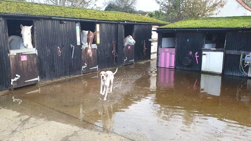 Flooding at the farm