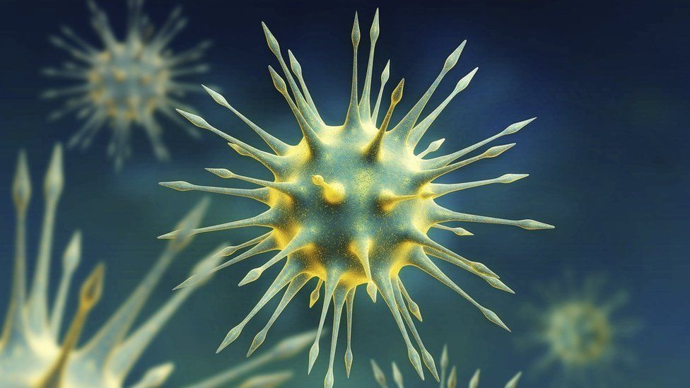 WHO backs 'treatall' HIV drug plan BBC News