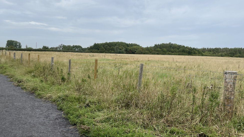 Gateshead Council-owned land at Wardley Lane near Hebburn that Quarry Park Stables wants to rent.